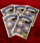 morning glory seed packets